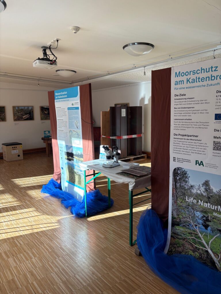 Ein Blick in die Sonderausstellung "Baustelle Moor"