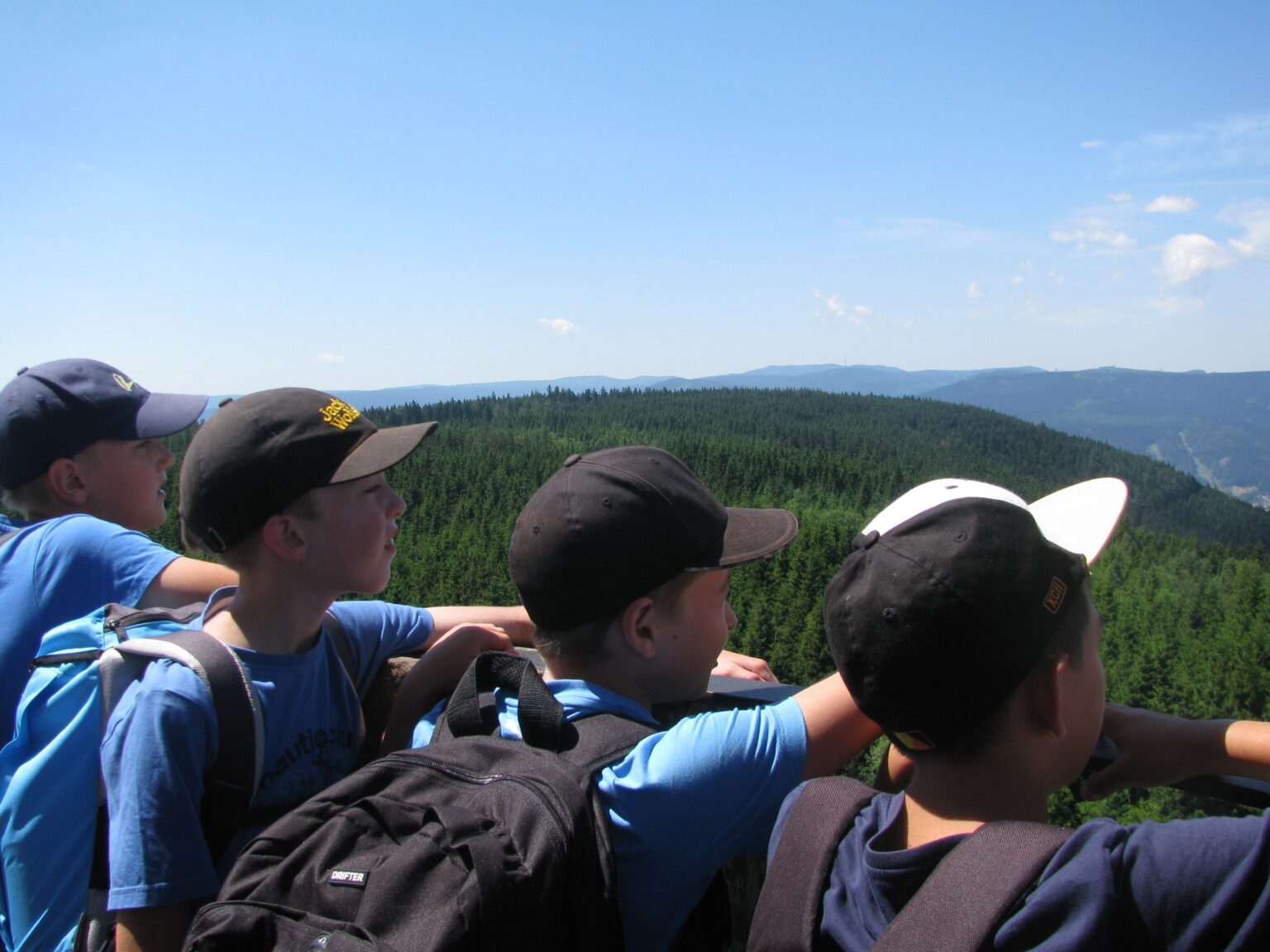 Vier Kinder schauen vom Hohlohturm auf die Waldlandschaft