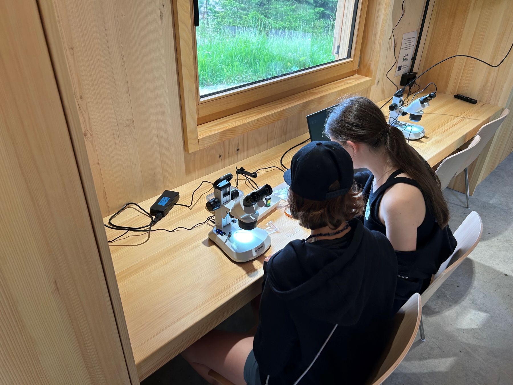 Zwei Kinder an einem Mikroskop