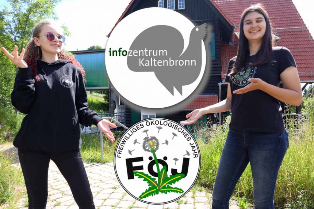 Zwei Foej vor dem Infozentrum