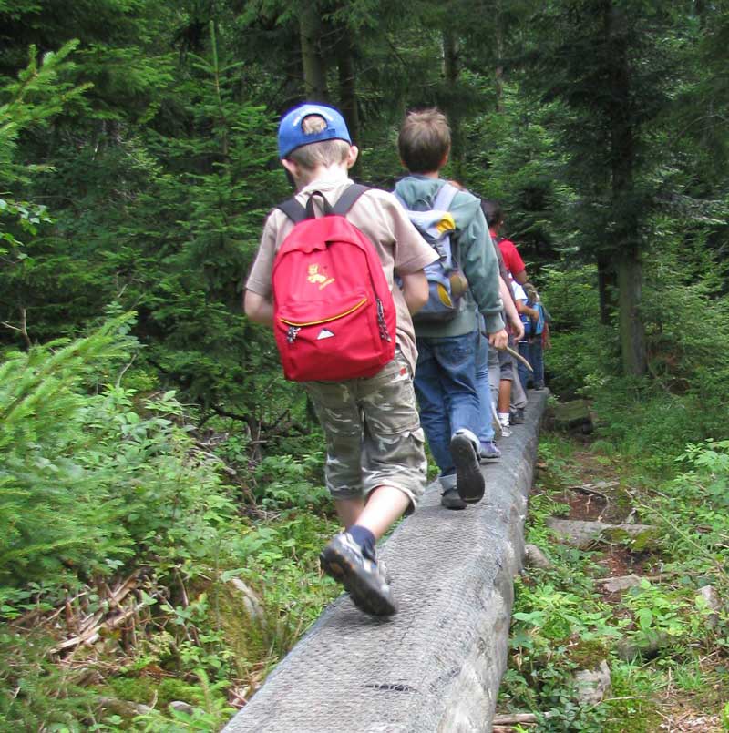 Kinder laufen im Wald über einen Baumstamm