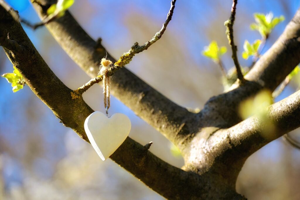 Herz hängt an Baum mit Knospen