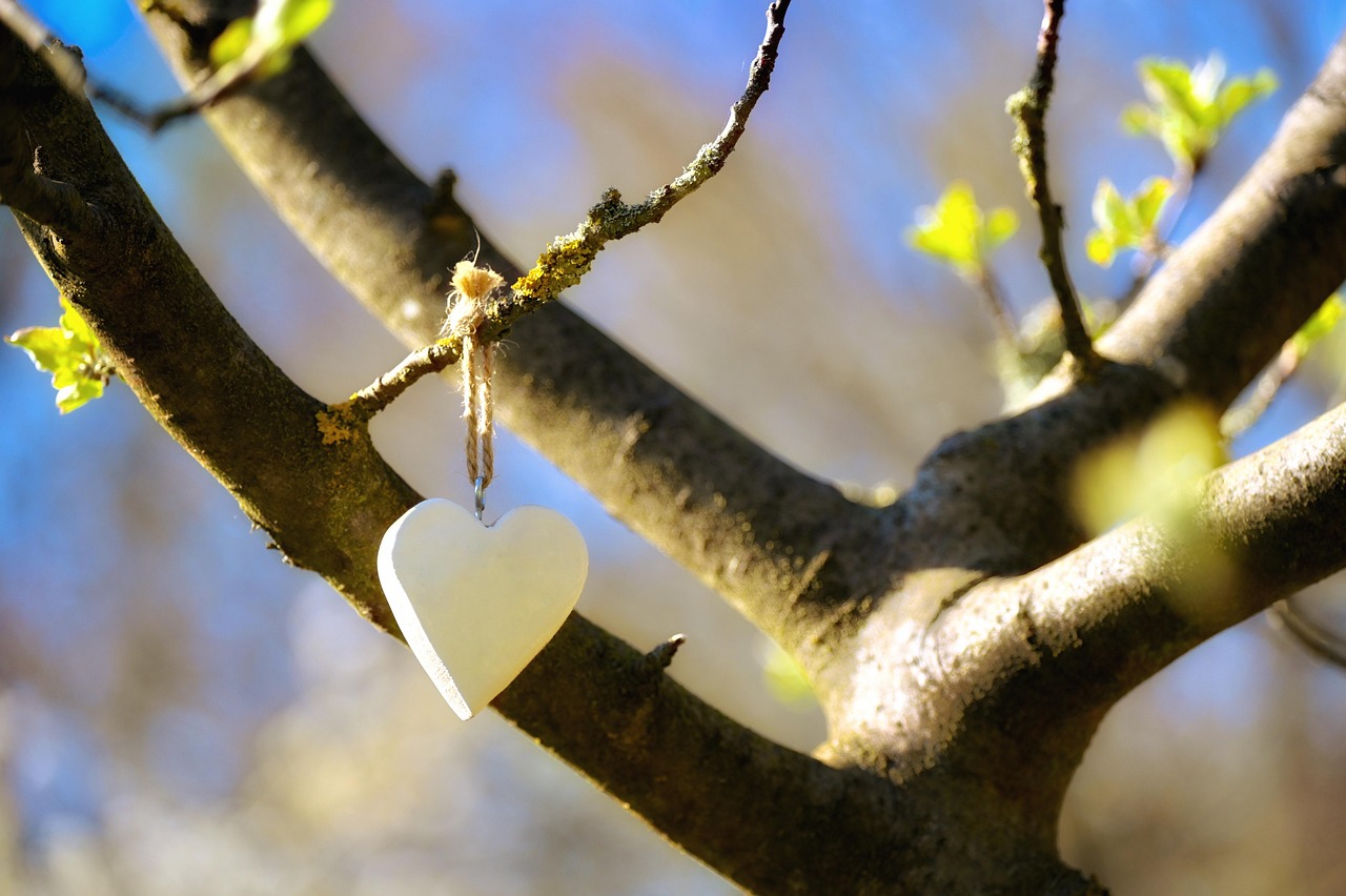 Herz hängt an Baum mit Knospen
