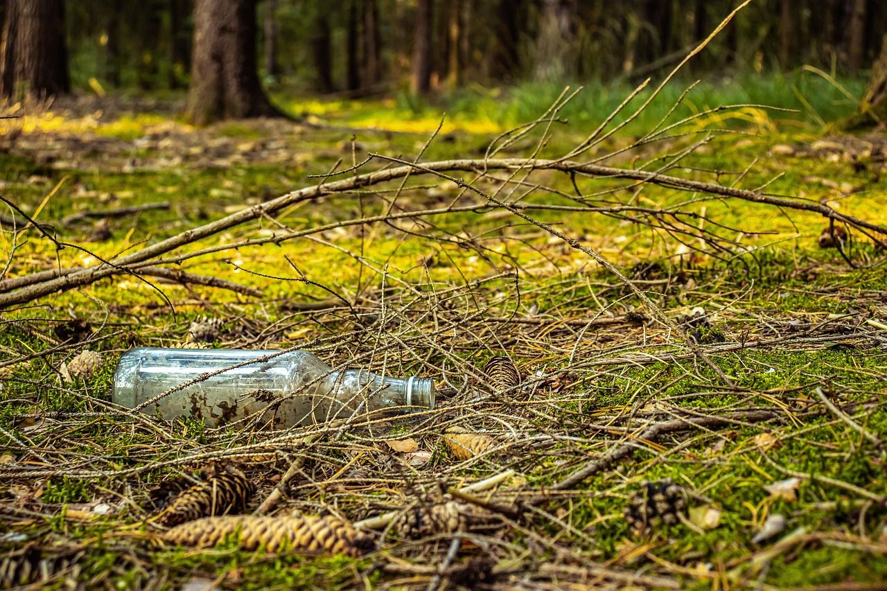 Eine Flasche liegt im Wald