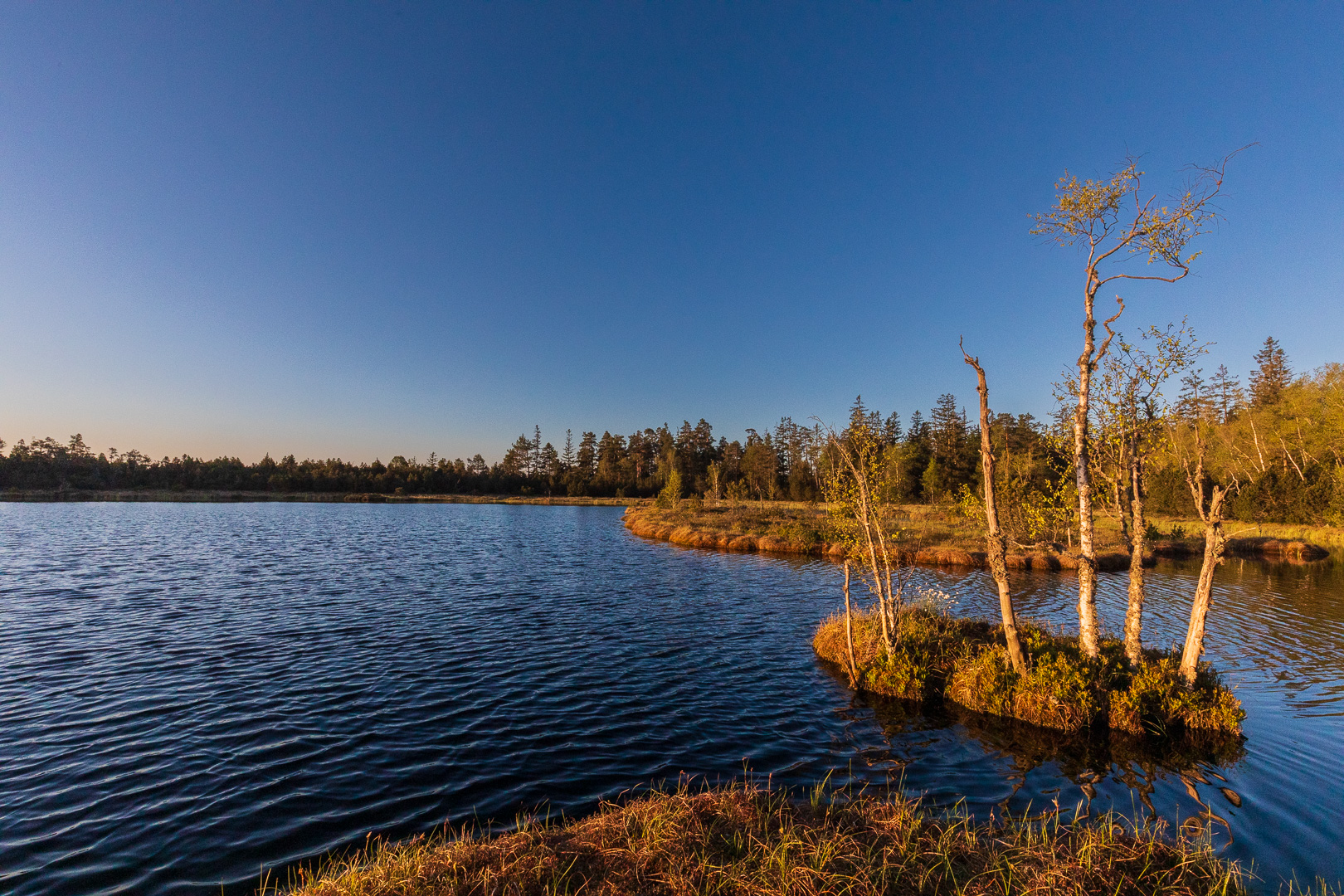 Hochmoorsee Wildseehochmoor