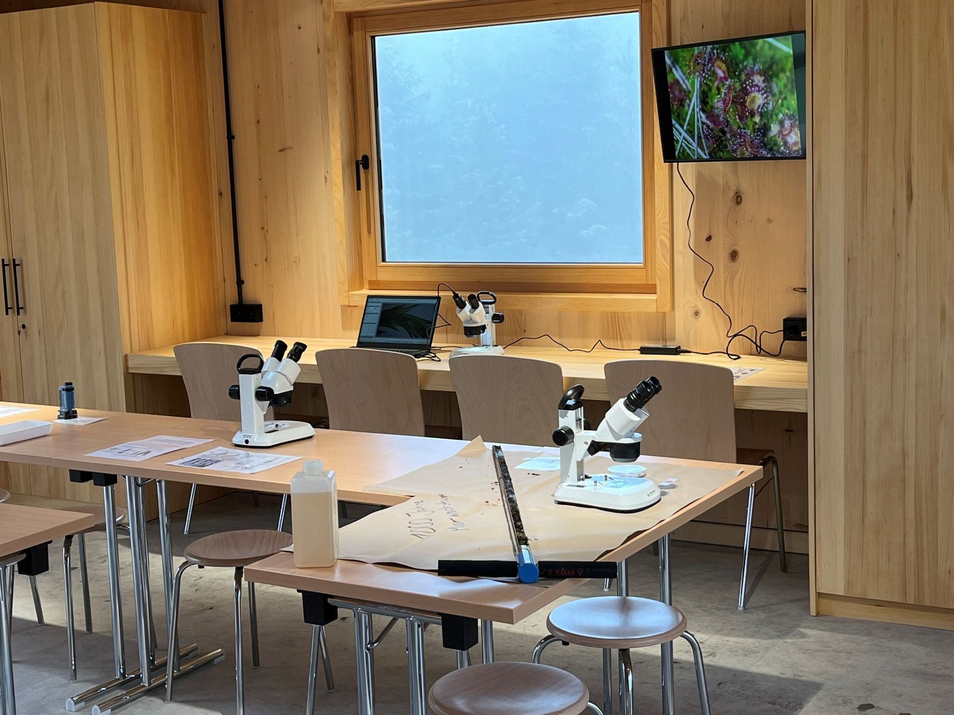 Bild aus der Moorstation