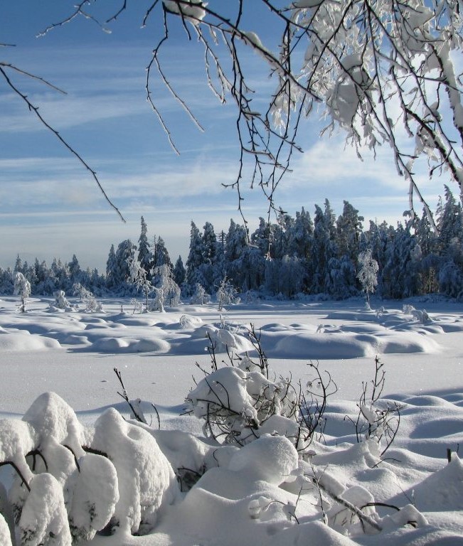 Verschneiter Wildsee Hochmoorsee