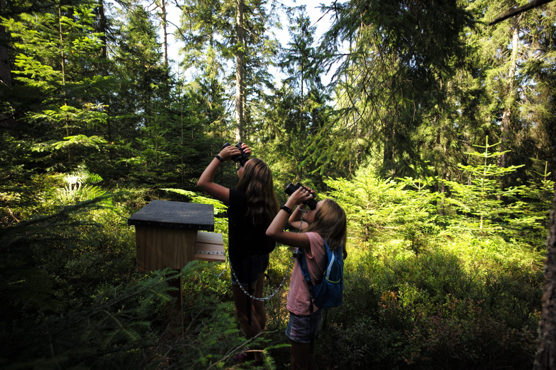 Kinder mit Fernglas auf dem Auerhahnsteig