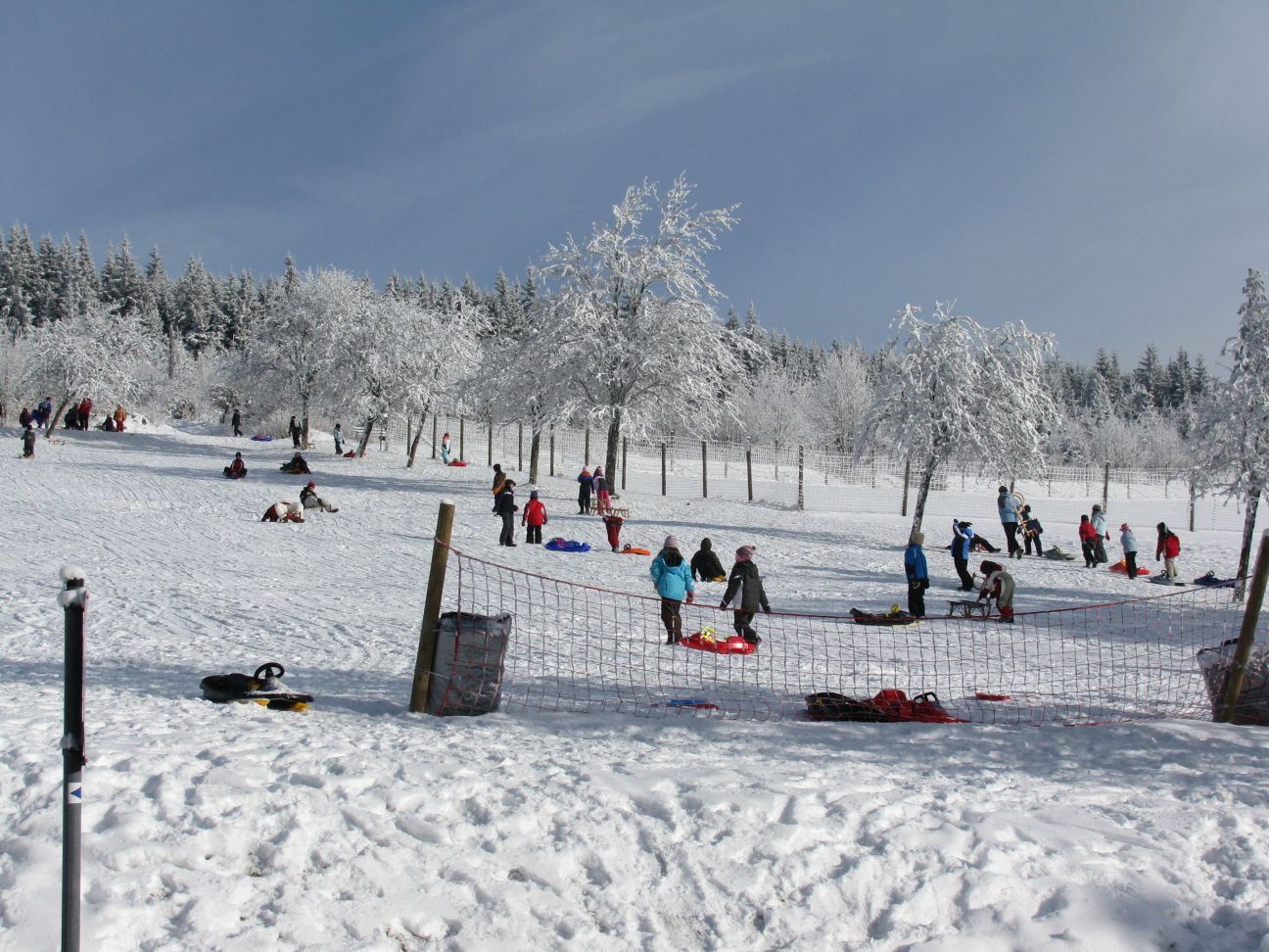 Bild vom Rodelhang