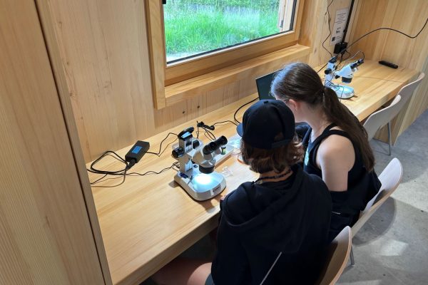 Schüler beim Mikroskopieren