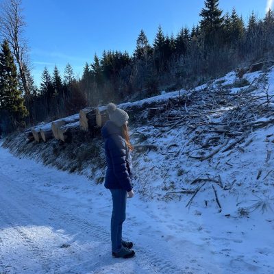 Bild von FöJ Pia